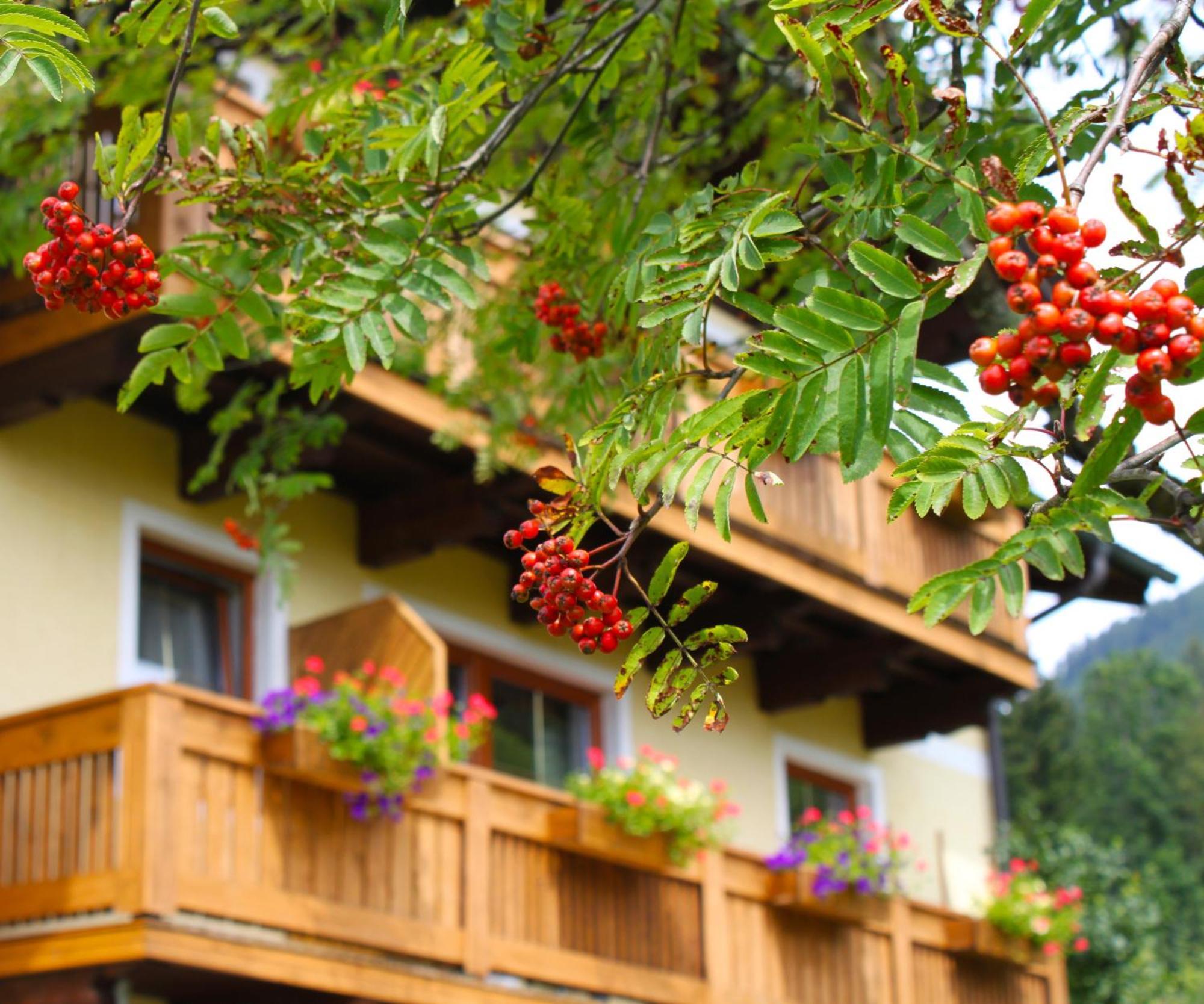 Haus Farmer Sankt Martin am Tennengebirge Exteriör bild